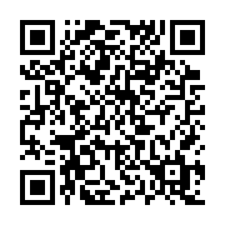 QR code for plate 519 CVL