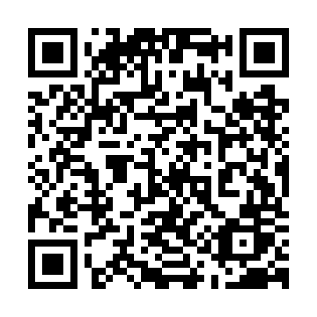 QR code for plate 519 GOR