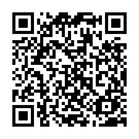 QR code for 519ZOL