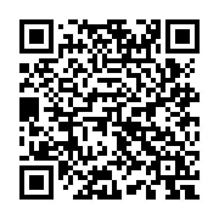 QR code for 533JFX