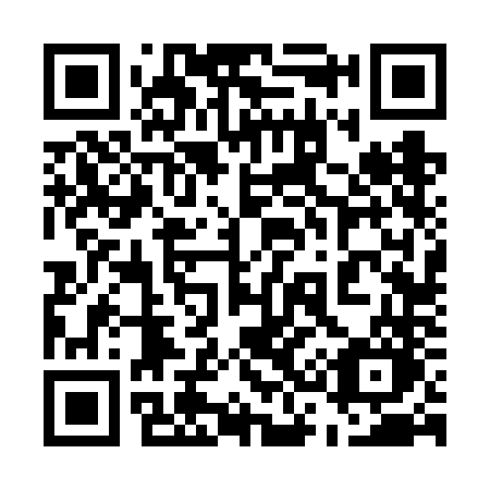 QR code for plate 536 6NO