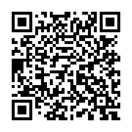 QR code for plate 537 NII