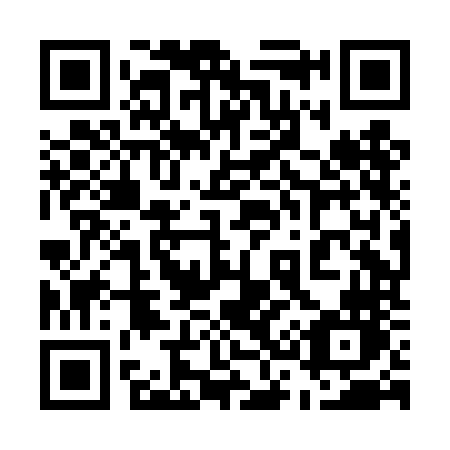 QR code for 538 DNN