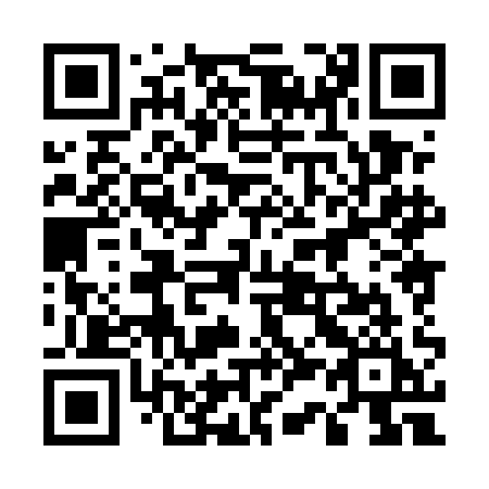 QR code for 5385AI