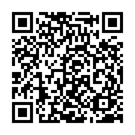 QR code for plate 539 IES