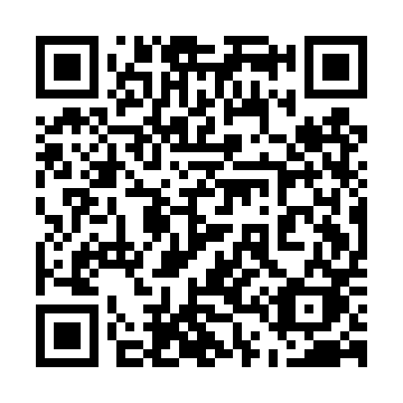 QR code for 541 DPK