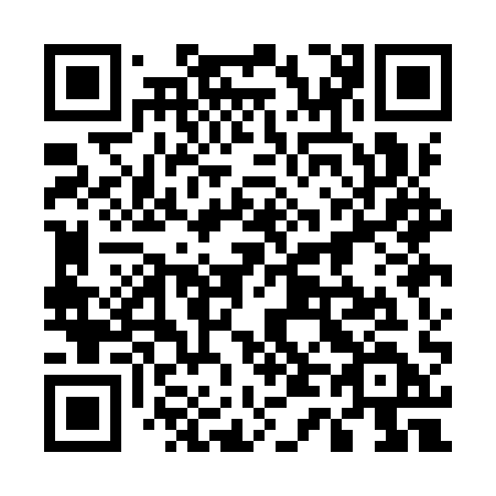QR code for 541 IQD