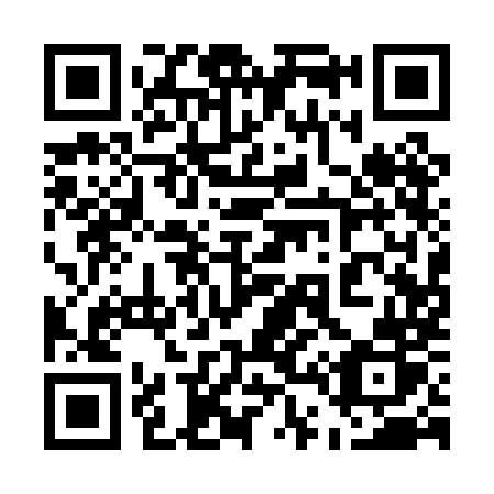 QR code for plate 541 0MR