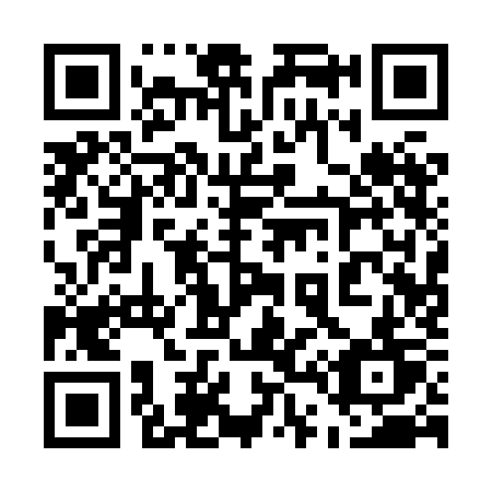QR code for plate 541 8KT