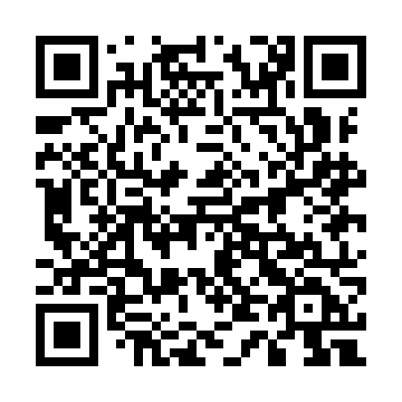 QR code for plate 541 IND