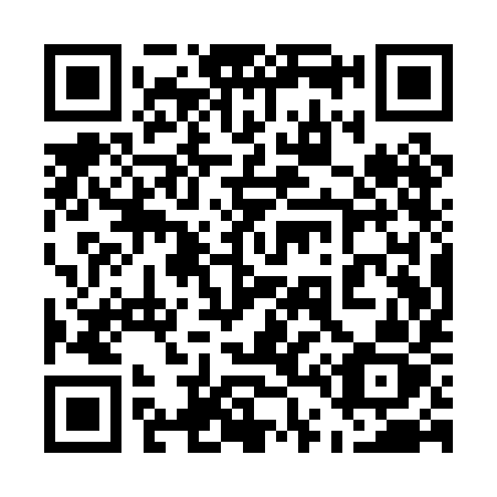 QR code for plate 541 PIZ