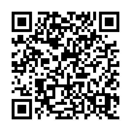 QR code for plate 541 TDT