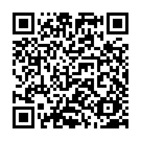 QR code for 542 IZM