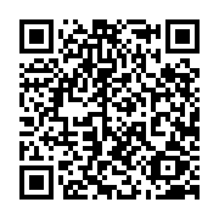 QR code for 5541BZ