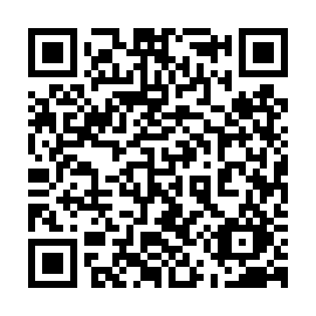 QR code for plate 555 4RO