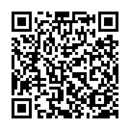 QR code for plate 585 WZQ