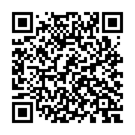 QR code for 594 CTF