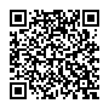 QR code for 595 CEO