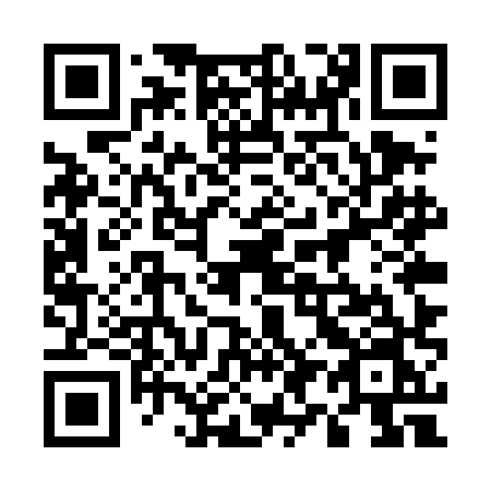 QR code for plate 595 THN