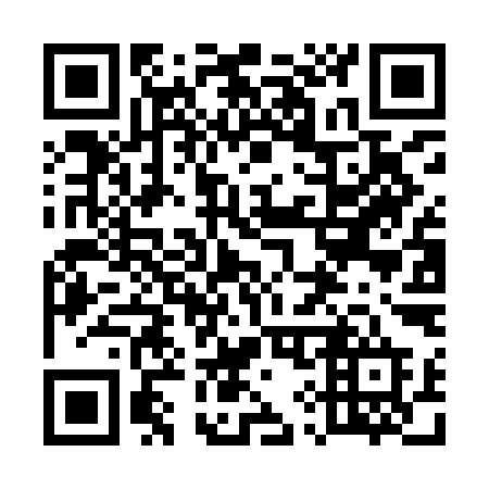 QR code for plate 596 IID