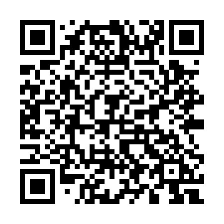 QR code for 599 PPI