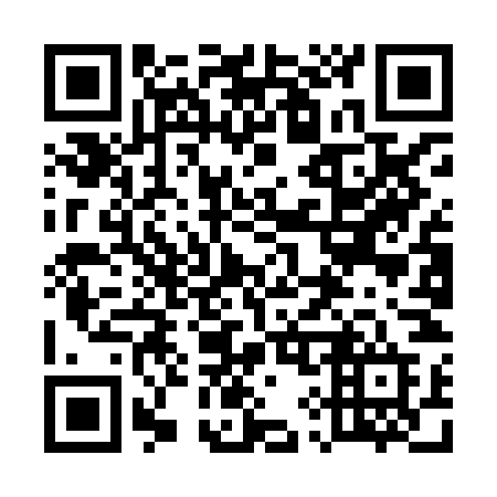 QR code for plate 599 HND