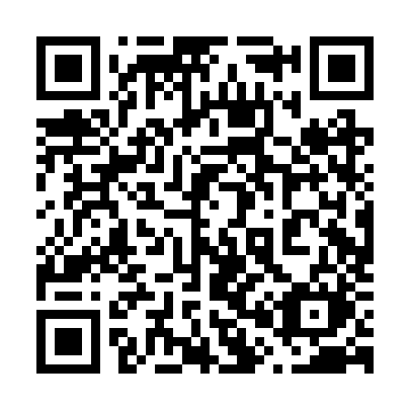 QR code for plate 600 BZM