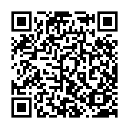 QR code for plate 600 XJP