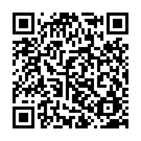 QR code for 603 LSB