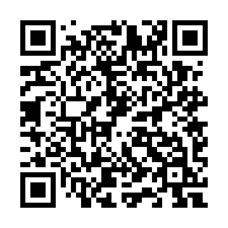 QR code for 617 5IN