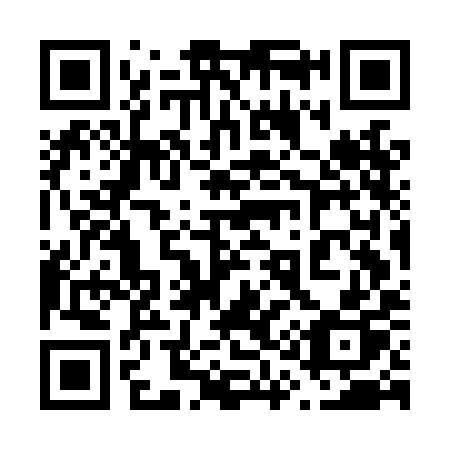 QR code for 617 LIP