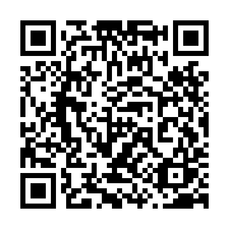 QR code for 617LIS