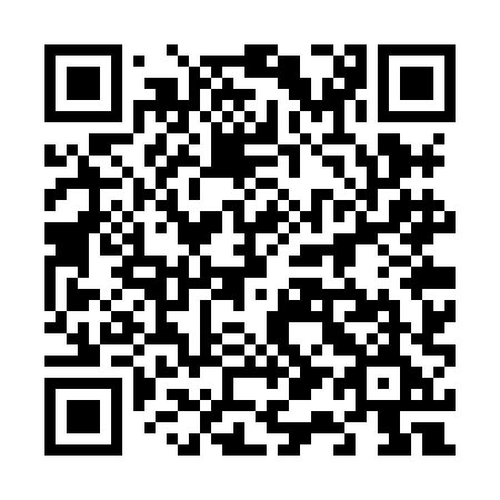 QR code for plate 617 XHE