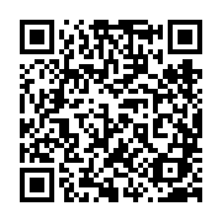 QR code for plate 618 VLI