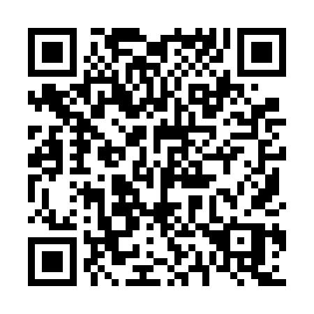 QR code for 6196DP