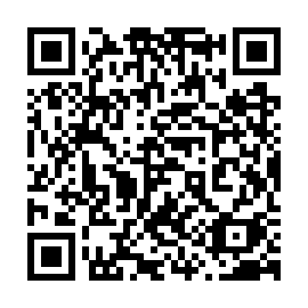 QR code for 619WSI
