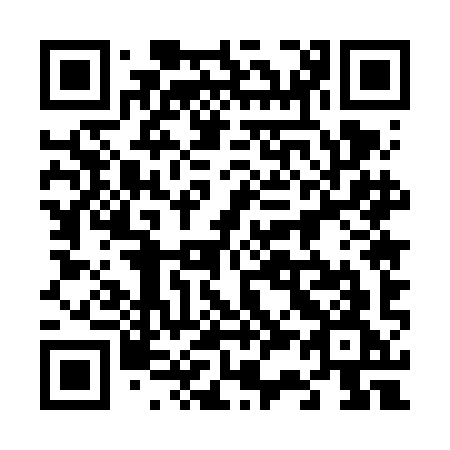 QR code for 6356IG