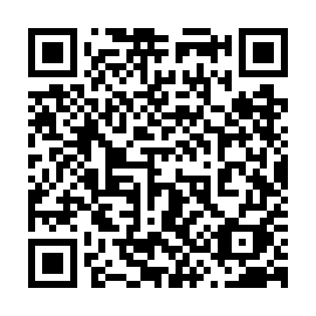 QR code for plate 636 WEI
