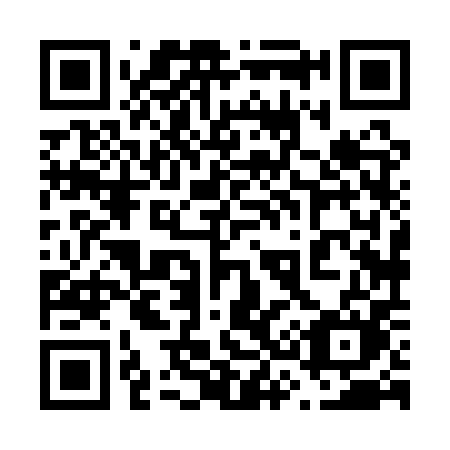 QR code for 6381PM