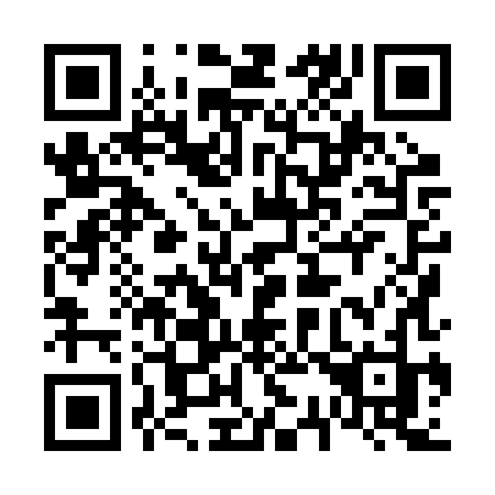 QR code for plate 638 2XJ