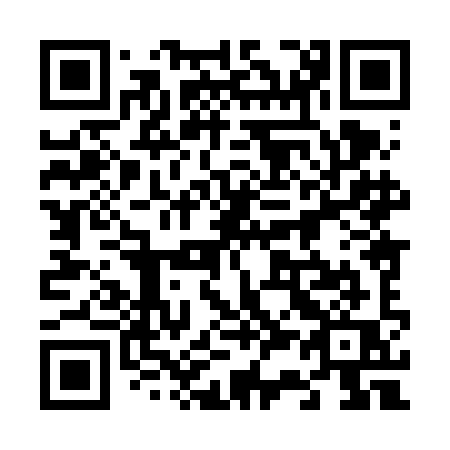 QR code for 6386IQ
