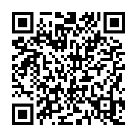 QR code for plate 638 8JJ