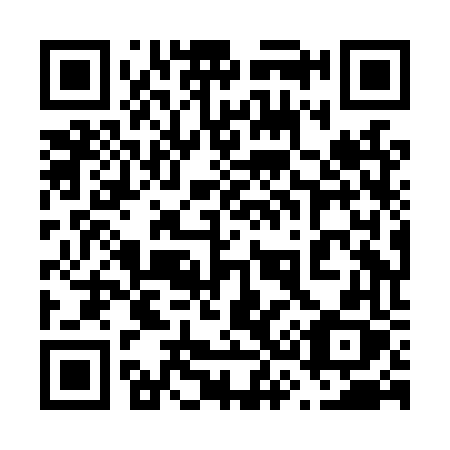 QR code for plate 638 LVX
