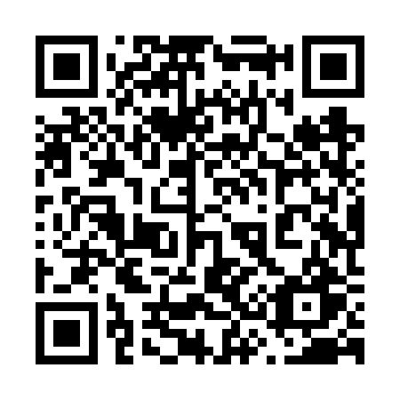 QR code for plate 638 VRW