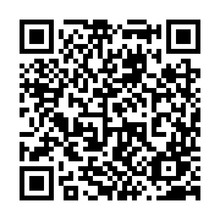 QR code for 6393TT