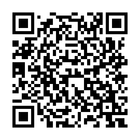 QR code for 6419WO