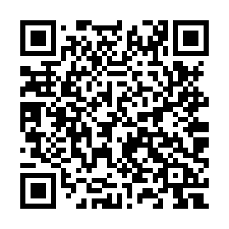 QR code for plate 646 XXB