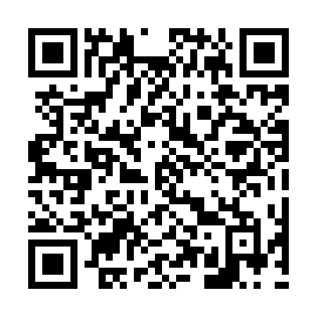 QR code for 6509DM