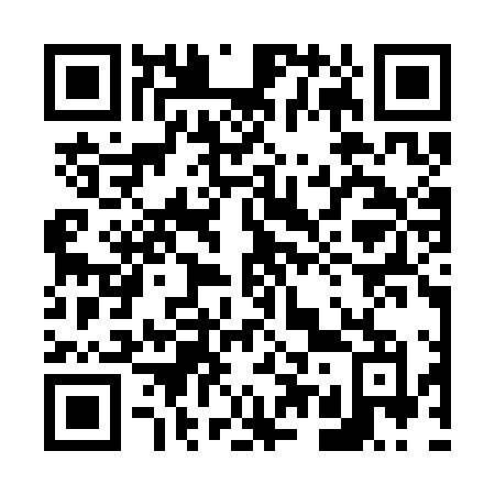 QR code for 653 SLM