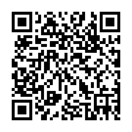 QR code for 6541DU